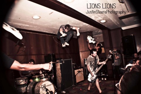 lions lions
