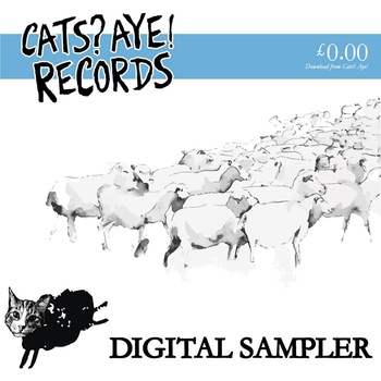 Digital Sampler 2013