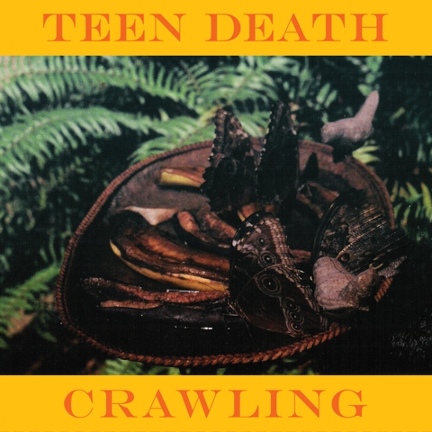 Teen Death