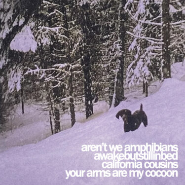 Aren’t We Amphibians / awakebutstillinbed / California Cousins / your arms are my cocoon release 4-way split