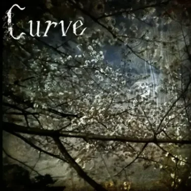 Curve release new song; “dreams in black”