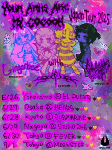 Your Arms Are My Cocoon Japan tour 2025 announced