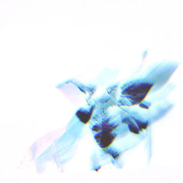 soccer. release new album; “Internet”